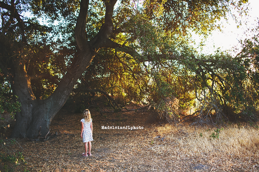 orange county family photographer